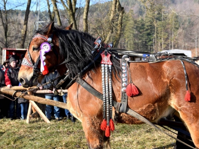 Jubileuszowe Zawody Furmanów za nami! - zdjęcie142