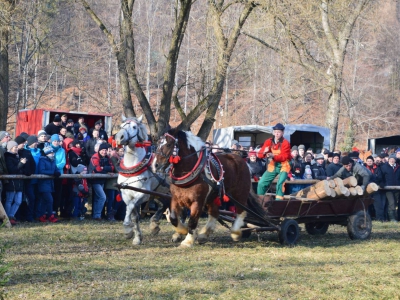 Jubileuszowe Zawody Furmanów za nami! - zdjęcie240