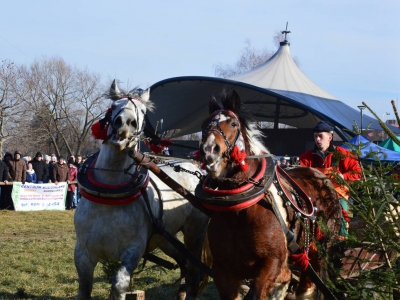 Jubileuszowe Zawody Furmanów za nami! - zdjęcie244