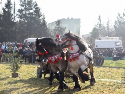 Jubileuszowe Zawody Furmanów za nami! - zdjęcie140