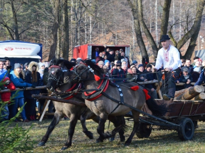 Jubileuszowe Zawody Furmanów za nami! - zdjęcie238