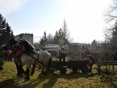 Jubileuszowe Zawody Furmanów za nami! - zdjęcie130