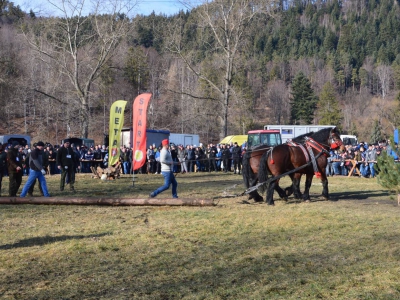 Jubileuszowe Zawody Furmanów za nami! - zdjęcie233