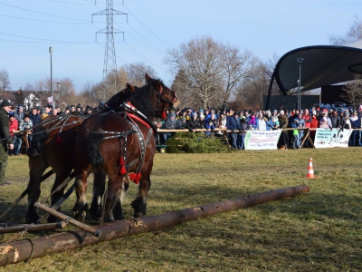 Jubileuszowe Zawody Furmanów za nami! - zdjęcie230