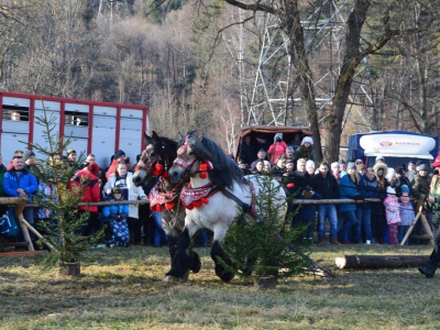 Jubileuszowe Zawody Furmanów za nami! - zdjęcie228