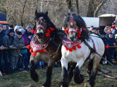 Jubileuszowe Zawody Furmanów za nami! - zdjęcie229