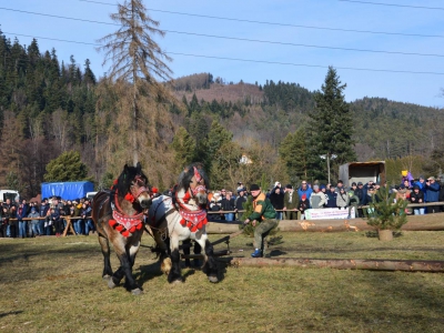 Jubileuszowe Zawody Furmanów za nami! - zdjęcie222