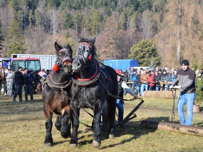 Jubileuszowe Zawody Furmanów za nami! - zdjęcie226