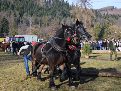 Jubileuszowe Zawody Furmanów za nami! - zdjęcie220