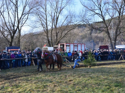 Jubileuszowe Zawody Furmanów za nami! - zdjęcie225