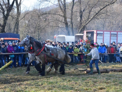 Jubileuszowe Zawody Furmanów za nami! - zdjęcie211