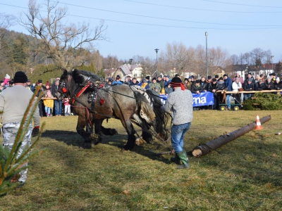 Jubileuszowe Zawody Furmanów za nami! - zdjęcie224