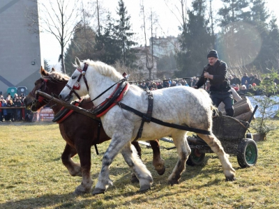 Jubileuszowe Zawody Furmanów za nami! - zdjęcie116