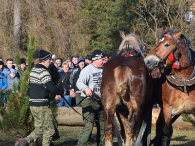 Jubileuszowe Zawody Furmanów za nami! - zdjęcie217