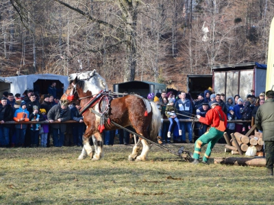 Jubileuszowe Zawody Furmanów za nami! - zdjęcie221