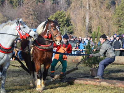 Jubileuszowe Zawody Furmanów za nami! - zdjęcie213