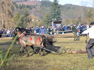 Jubileuszowe Zawody Furmanów za nami! - zdjęcie218