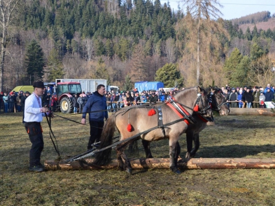 Jubileuszowe Zawody Furmanów za nami! - zdjęcie210