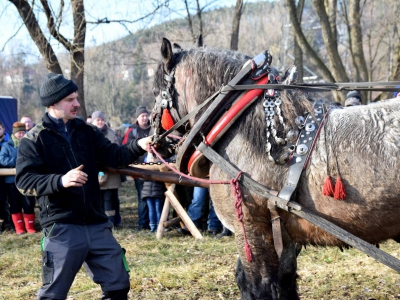 Jubileuszowe Zawody Furmanów za nami! - zdjęcie108