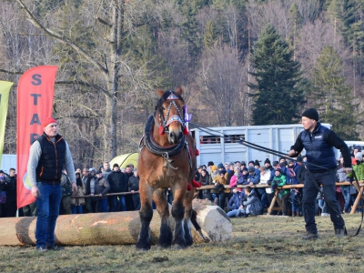 Jubileuszowe Zawody Furmanów za nami! - zdjęcie203