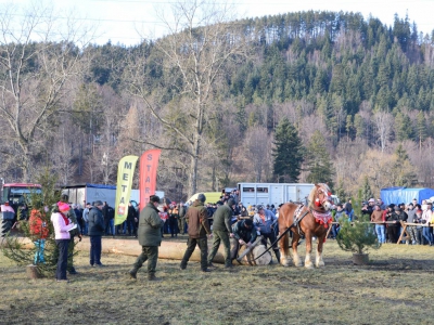 Jubileuszowe Zawody Furmanów za nami! - zdjęcie202