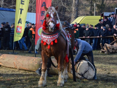 Jubileuszowe Zawody Furmanów za nami! - zdjęcie199