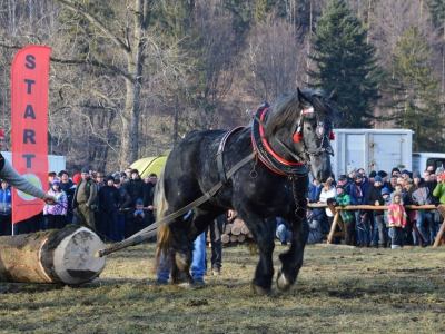 Jubileuszowe Zawody Furmanów za nami! - zdjęcie201