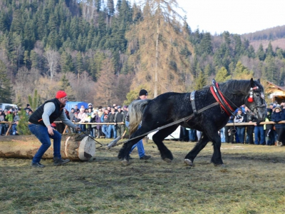 Jubileuszowe Zawody Furmanów za nami! - zdjęcie196