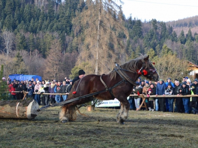 Jubileuszowe Zawody Furmanów za nami! - zdjęcie198