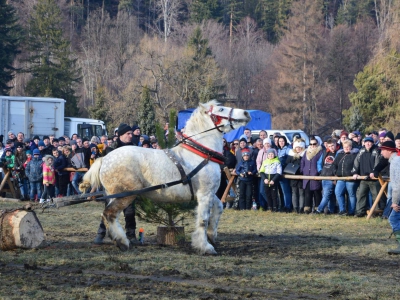 Jubileuszowe Zawody Furmanów za nami! - zdjęcie195