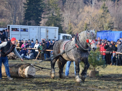 Jubileuszowe Zawody Furmanów za nami! - zdjęcie190