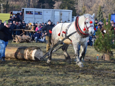 Jubileuszowe Zawody Furmanów za nami! - zdjęcie194