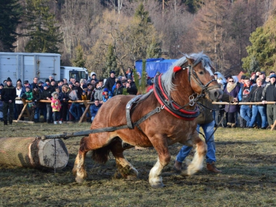 Jubileuszowe Zawody Furmanów za nami! - zdjęcie189