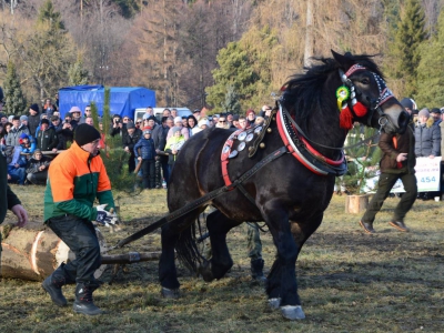 Jubileuszowe Zawody Furmanów za nami! - zdjęcie188