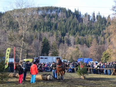 Jubileuszowe Zawody Furmanów za nami! - zdjęcie179