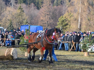 Jubileuszowe Zawody Furmanów za nami! - zdjęcie185