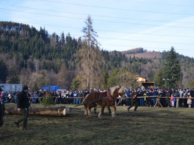 Jubileuszowe Zawody Furmanów za nami! - zdjęcie181