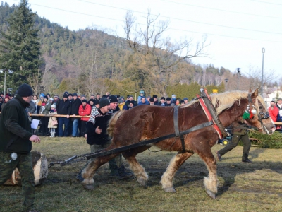 Jubileuszowe Zawody Furmanów za nami! - zdjęcie175