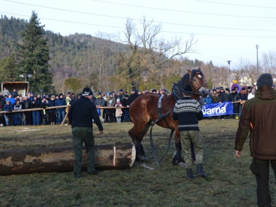 Jubileuszowe Zawody Furmanów za nami! - zdjęcie171