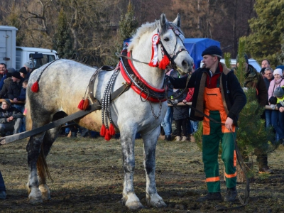 Jubileuszowe Zawody Furmanów za nami! - zdjęcie183