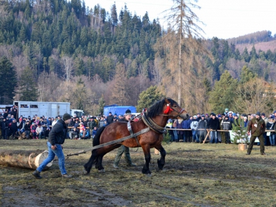 Jubileuszowe Zawody Furmanów za nami! - zdjęcie173