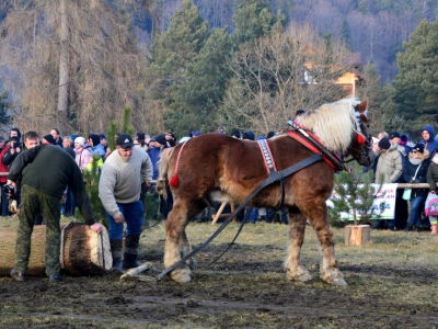 Jubileuszowe Zawody Furmanów za nami! - zdjęcie177