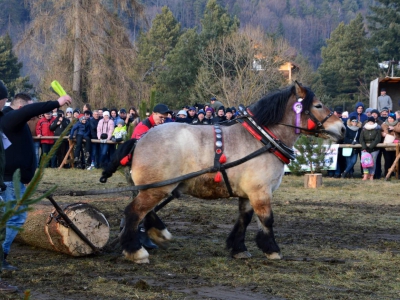 Jubileuszowe Zawody Furmanów za nami! - zdjęcie159