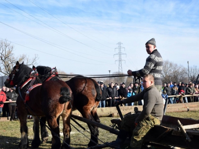 Jubileuszowe Zawody Furmanów za nami! - zdjęcie80