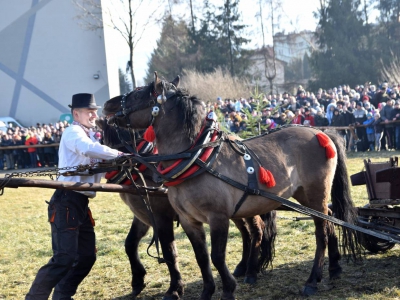 Jubileuszowe Zawody Furmanów za nami! - zdjęcie75