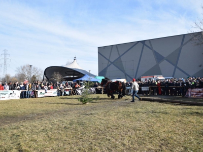 Jubileuszowe Zawody Furmanów za nami! - zdjęcie55