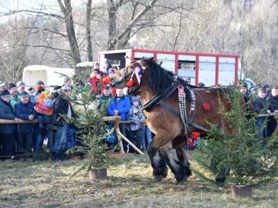 Jubileuszowe Zawody Furmanów za nami! - zdjęcie54