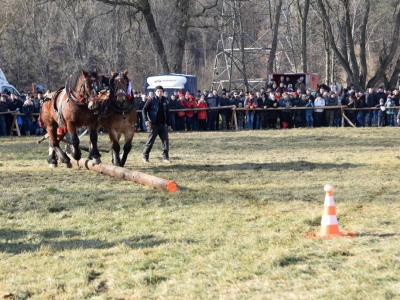 Jubileuszowe Zawody Furmanów za nami! - zdjęcie53