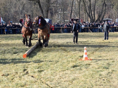 Jubileuszowe Zawody Furmanów za nami! - zdjęcie49