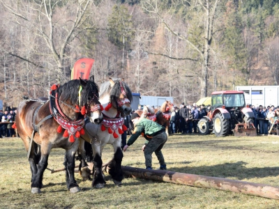 Jubileuszowe Zawody Furmanów za nami! - zdjęcie50